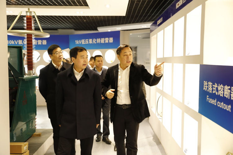 温州市委常委、组织部长马永良莅临正点游戏电气集团调研指导